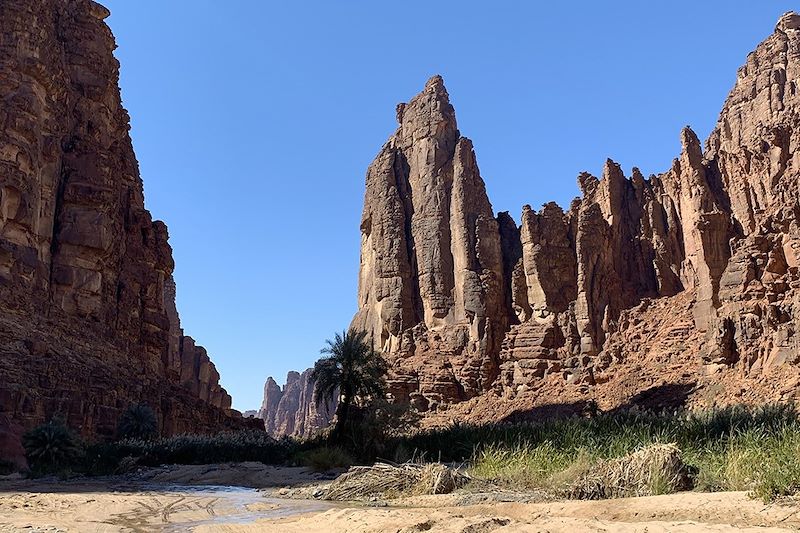 Wadi Disah - Tabuk - Arabie Saoudite