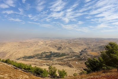 La perle du Moyen-Orient (accessible PMR) 4