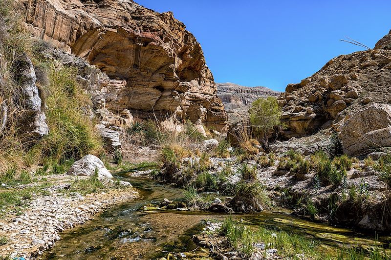  Wadi Bin Hammad - Kerak - Jordanie