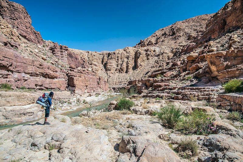 Randonneur au bord de la rivière Zered - Jordanie