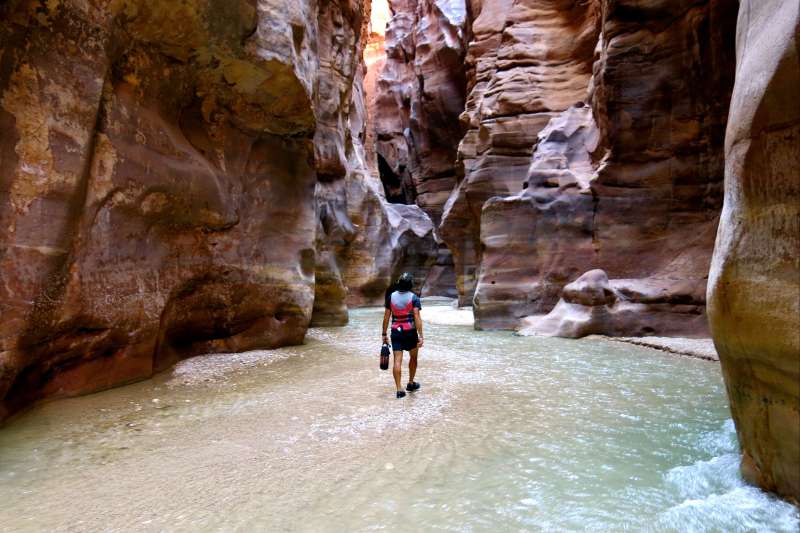 Randonnée nature au cœur des oasis et canyons, exploration du Wadi-Rum et visite de la cité nabatéenne de Petra.