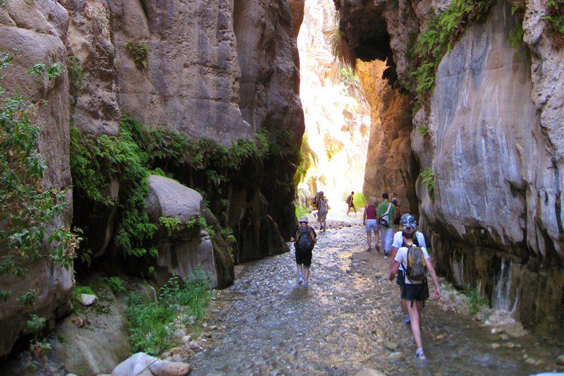 Canyon -Jordanie