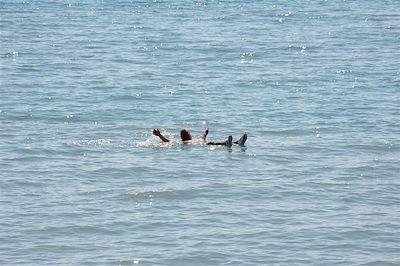 Eaux vives et dunes rouges 4