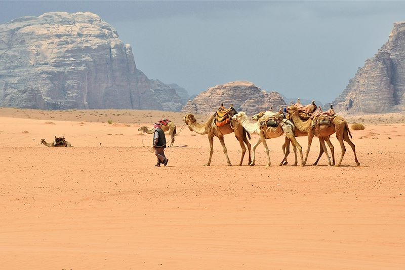 Randonnée chamelière dans le Wadi Rum - Jordanie