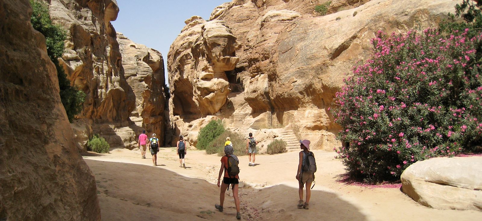 Image De Pétra au WadiRum par la vallée arc-en-ciel