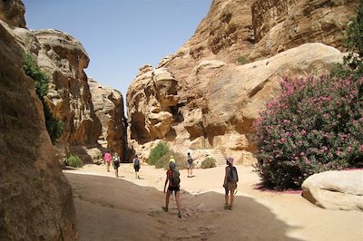 De Pétra au WadiRum par la vallée arc-en-ciel 4