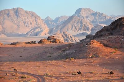 Du Désert de Wadi Rum à Pétra la rose 3