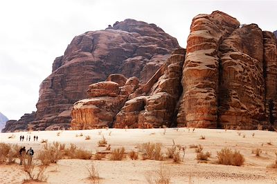 Du Désert de Wadi Rum à Pétra la rose 4