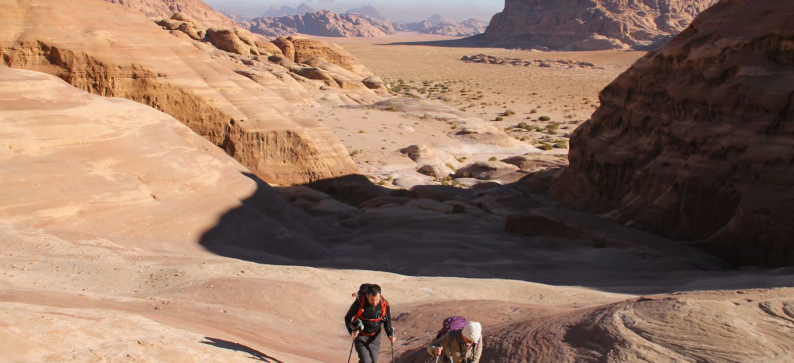 Image Du Désert de Wadi Rum à Pétra la rose