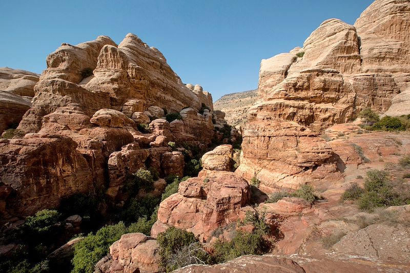 Parc National de Dana - Jordanie