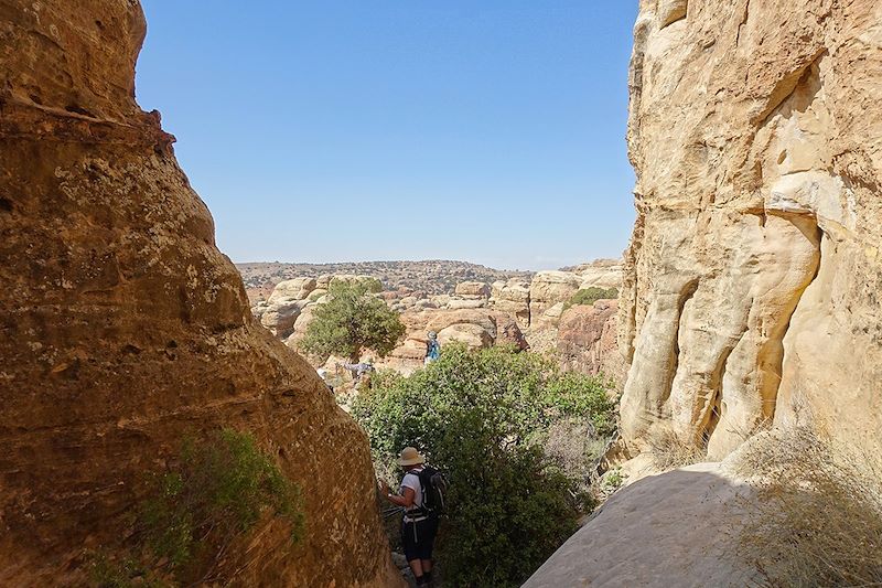 La Jordanie sous les étoiles 