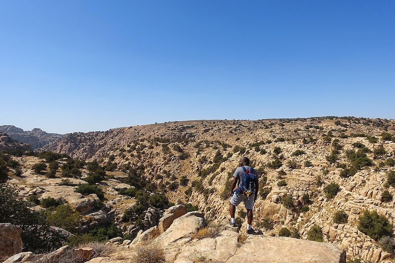 Vallée de Dana - Jordanie