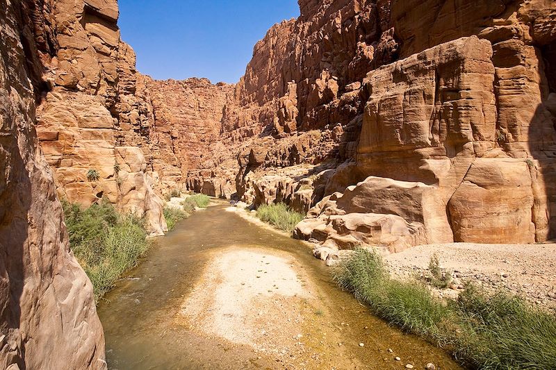 Réserve naturelle du Wadi Mujib - Jordanie