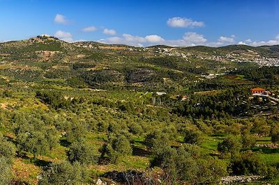 Rencontres au cœur de la Jordanie 2