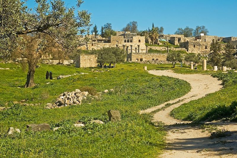 Ruines romaines d'Umm Qeis - Jordanie