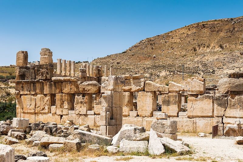 Qasr Al Abd - Iraq Al Amir - Jordanie