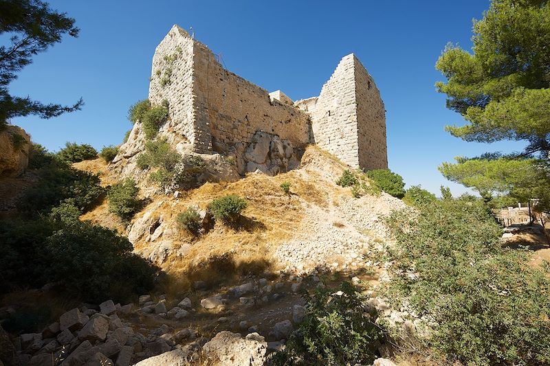 Château d'Ajloun - Jordanie