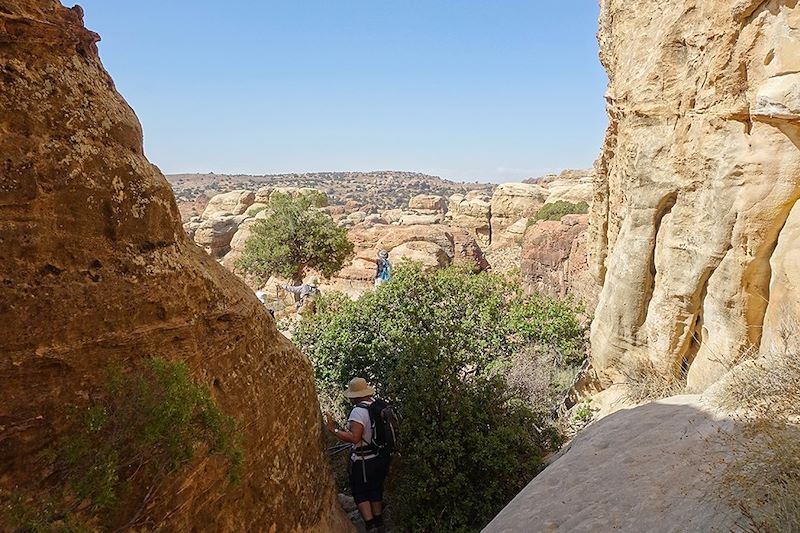 Trek dans la Vallée de Dana - Jordanie