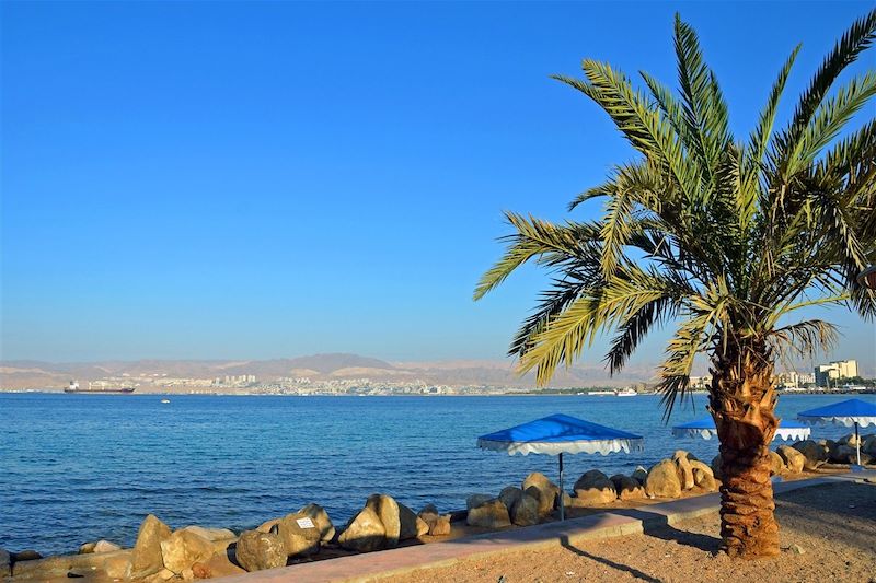 Mer Rouge - Aqaba - Jordanie