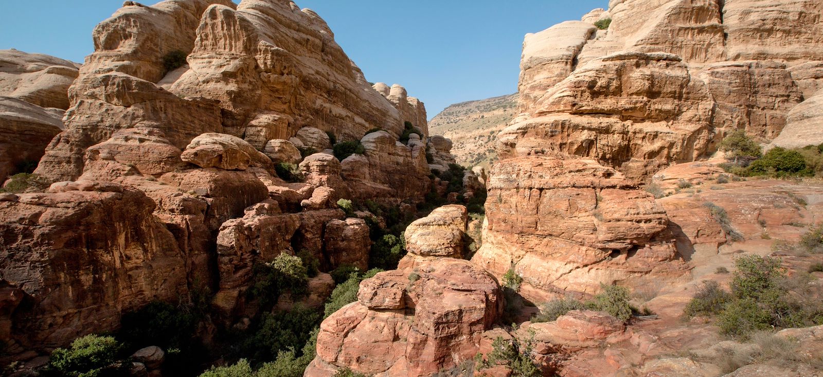 Image Jordanie du Nord au Sud : tout y est !