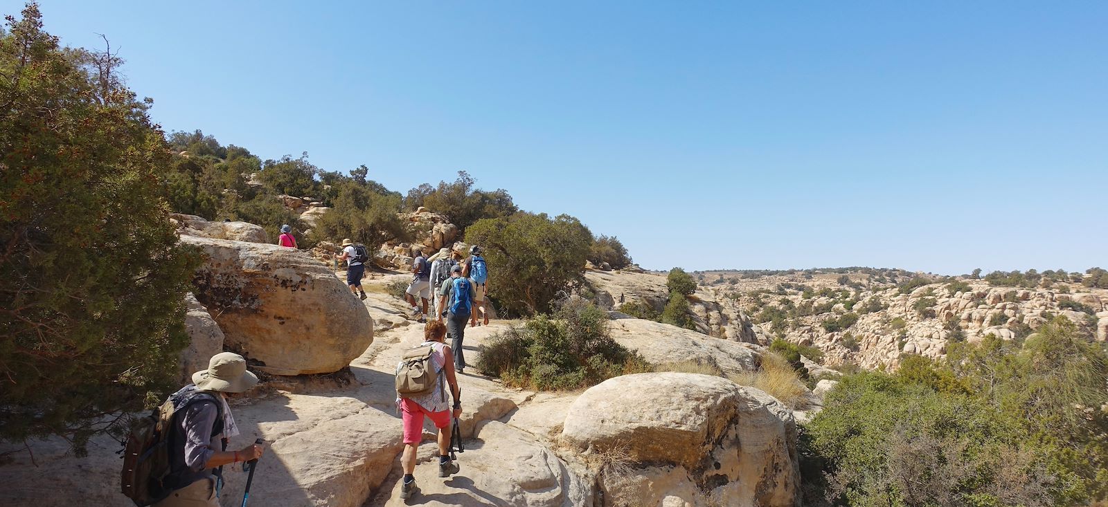 Image Jordanie du Nord au Sud : tout y est !