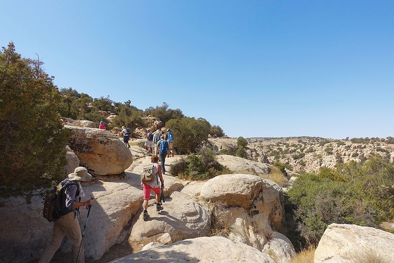 Randonnée dans la réserve de Dana - Jordanie