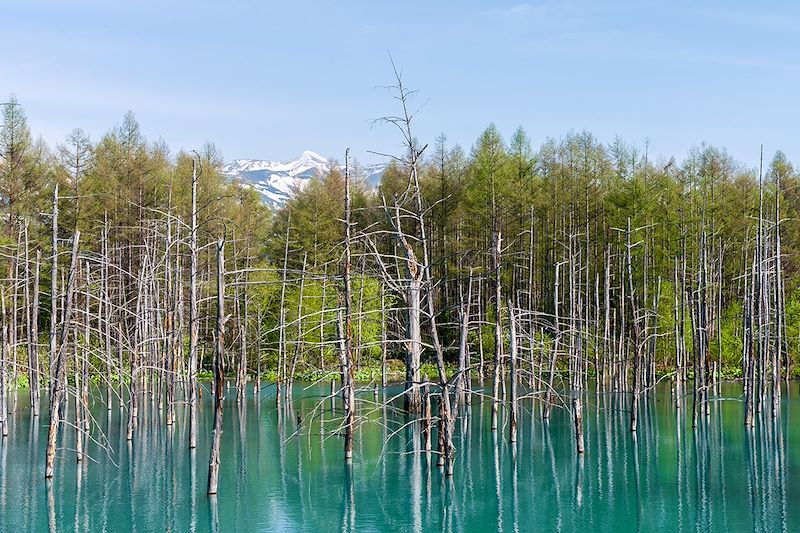 Aoi-ike - Shirogane - Kamikawa - Hokkaido