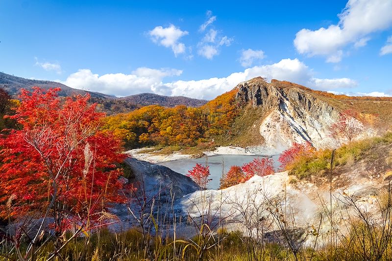 Jigokudani (Vallée de l'Enfer) - Parc national de Joshin'etsukogen - Hokkaido - Japon