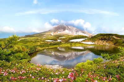 Thé chaud pour Hokkaido ? 