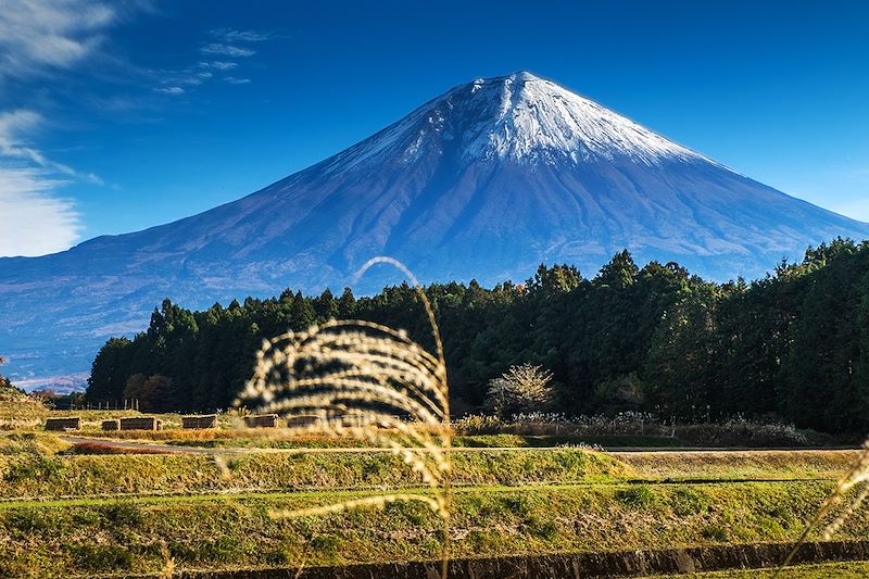 Traversée de la Corée et incontournables du Japon, Kyoto, Nara, Mont Fuji, Nikko et Tokyo en mode confort et  tranquille