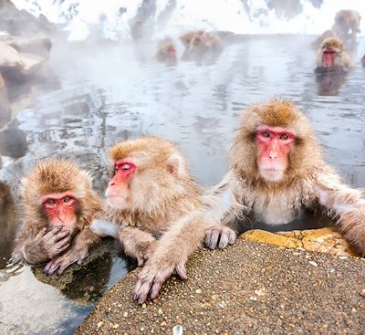 Trek et randonnée Japon