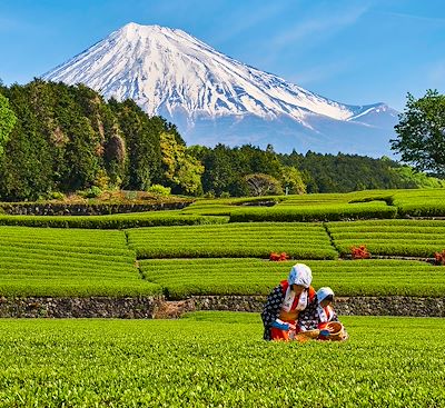 Voyages sur mesure Japon