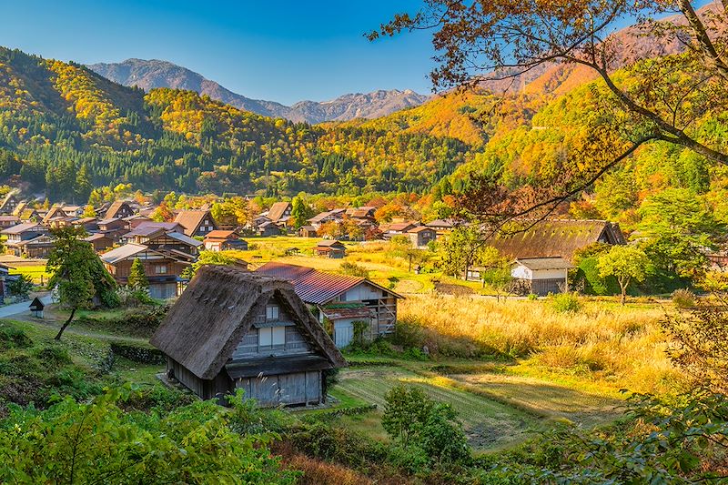 Voyage combiné en transports locaux et en camping car, à la découverte de la Golden Road et des Alpes Japonaises