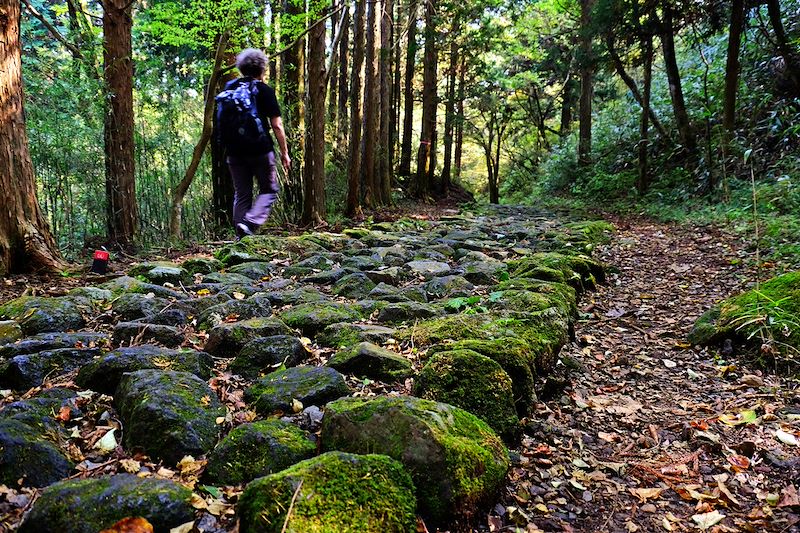 Hakone - Préfecture de Kanagawa - District d'Ashigarashimo - Japon