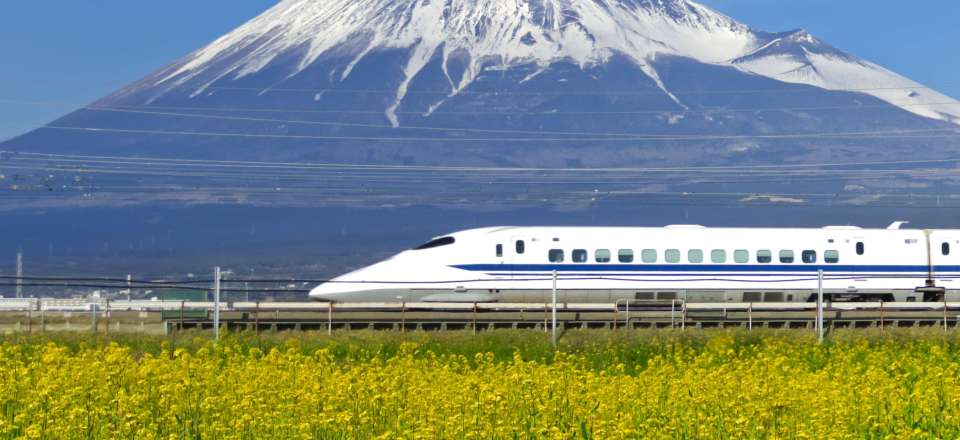 10 jours en autonomie sur la Golden Road (Tokyo, Hakone, Kyoto, Nara, Koyasan) au rythme du train