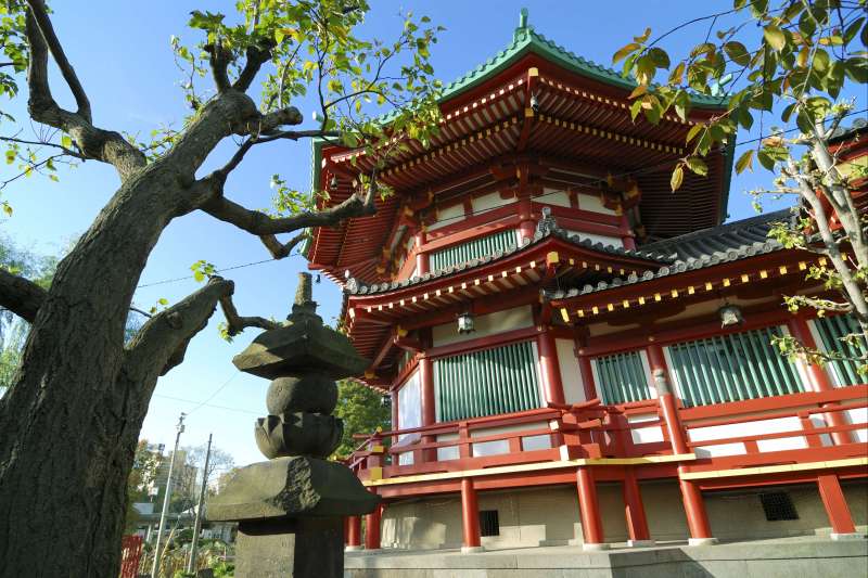 Mon road trip au Japon : Tokyo-Kyoto-Kyushu 