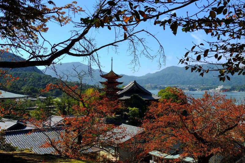 Bons baisers de Shikoku