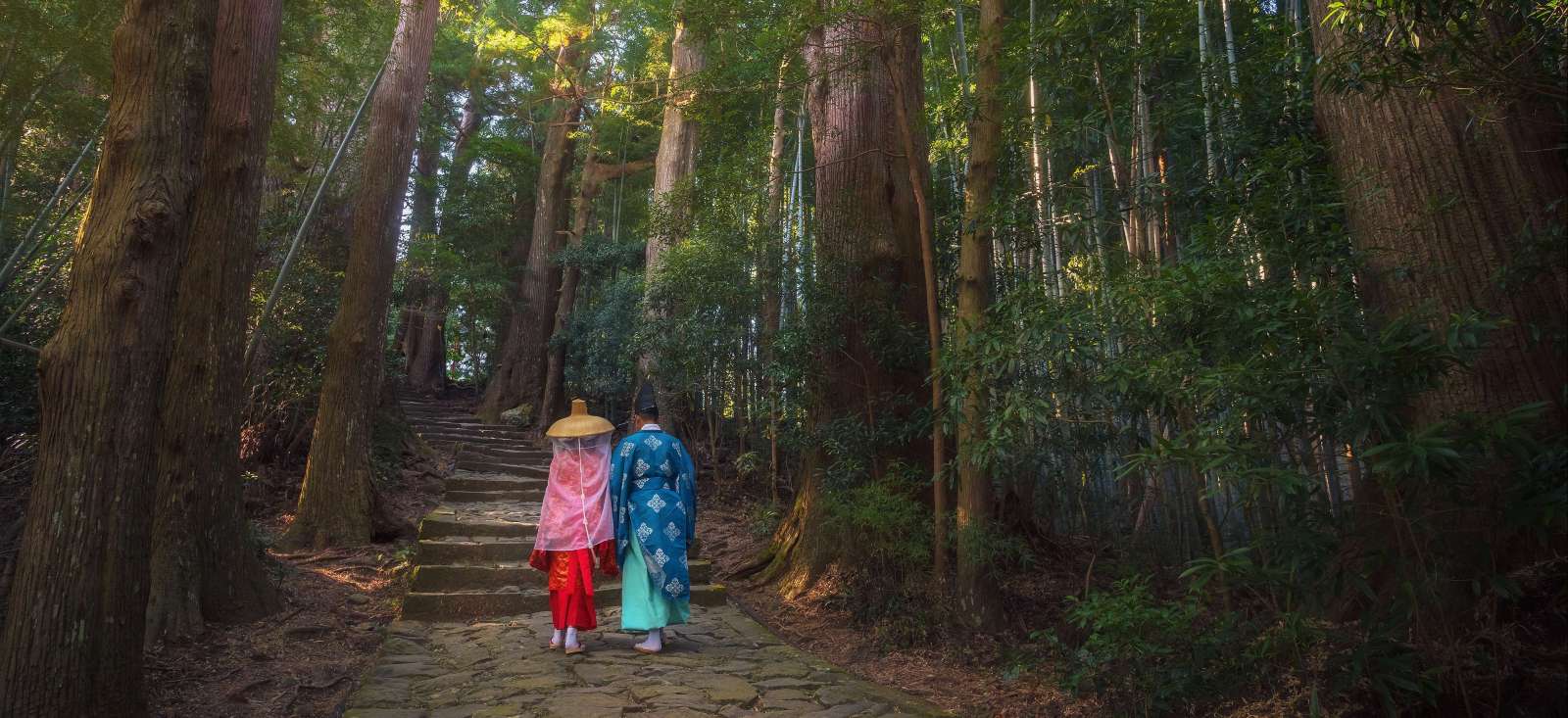 Image Chemins du Kumano Kodo + Tokyo