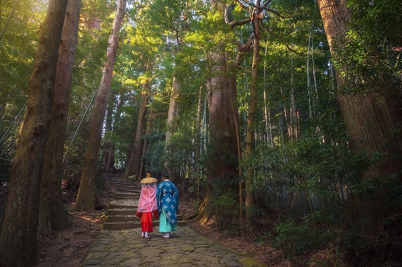 Sur les chemins légendaires du Kumano Kodo 