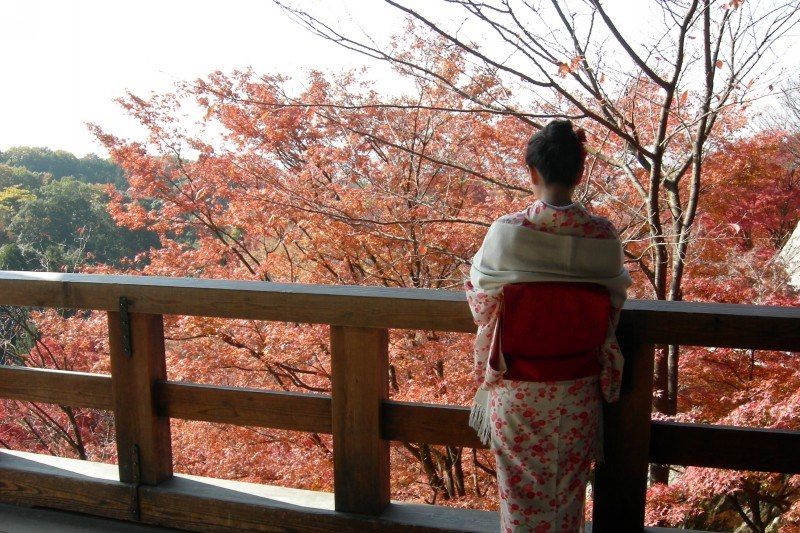 Mont Fuji, Mont Koya, Mon amour