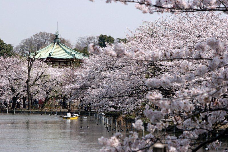 Parc Ueno-Onshi - Tokyo - Japon