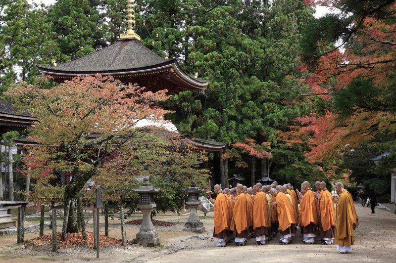 Mont Fuji, Mont Koya, Mon amour