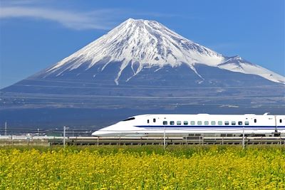 voyage Mont Fuji, Mont Koya, Mon amour