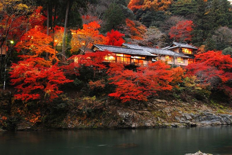 Mont Fuji, Mont Koya, Mon amour