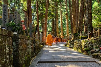 Mont Koya, mont Fuji, mon Amour 3