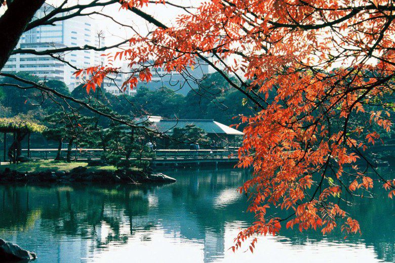 Jardins de Hamarikyu - Tokyo - Japon