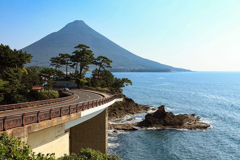 voyage Japon