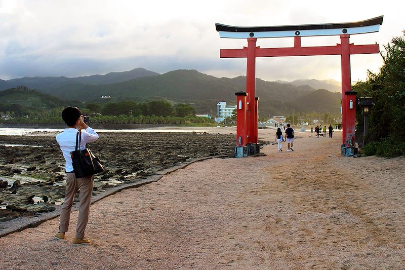 Torii du sanctuaire d'Aoshima - Kyushu - Japon