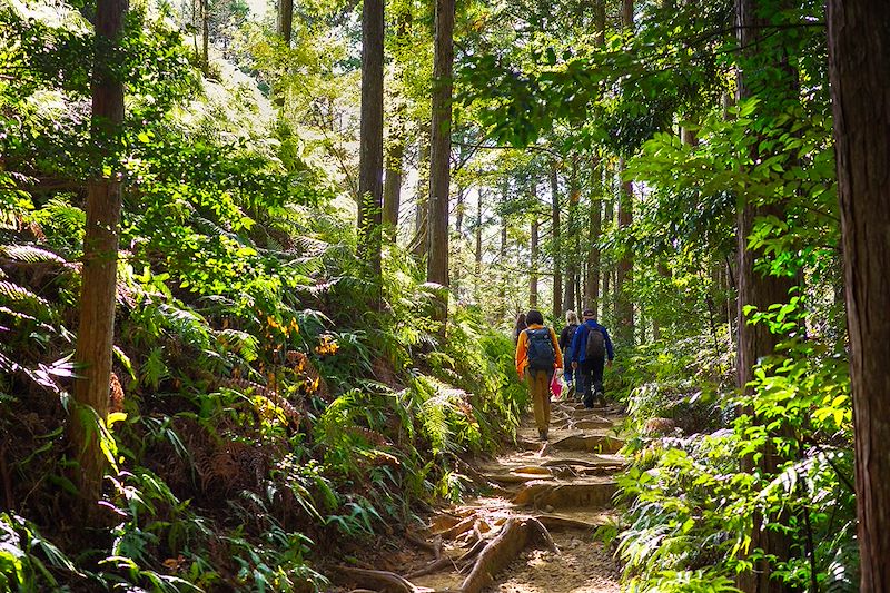 Randonnée sur le Kumano kodo sur la Péninsule de Kii - Japon