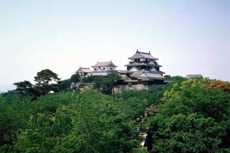 Château de Matsuyama - Japon
